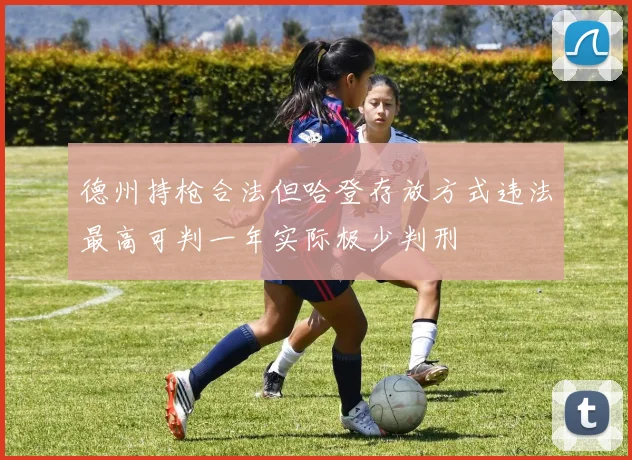 德州持枪合法但哈登存放方式违法最高可判一年实际极少判刑